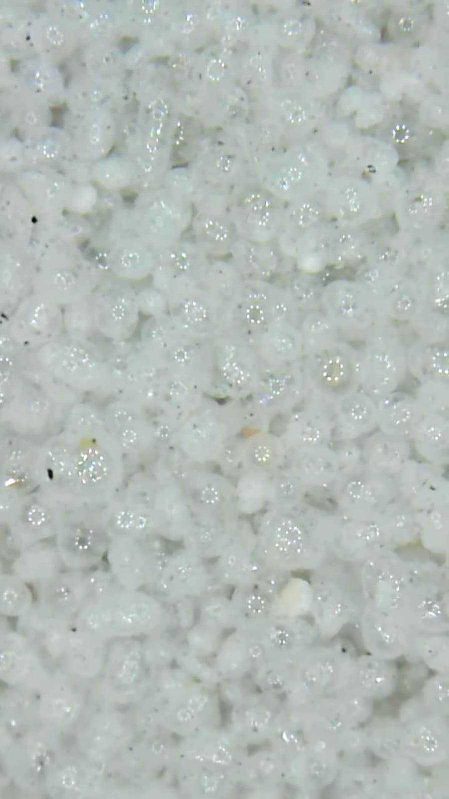 Mikroskopaufnahme expandierter RayBalls